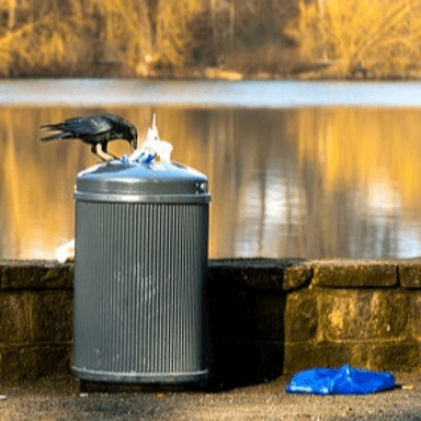 Buang sampah - Dr. R. Surya Widya, SpKJ.